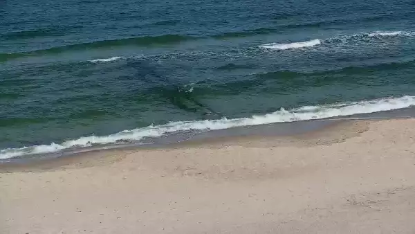 Widok na Promenadę i Plażę w Sarbinowie