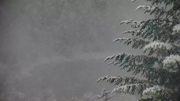 Widok z pienińskiego schroniska Orlica