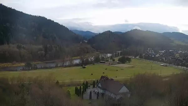 Widok na żywo na panoramę Sromowców Niżnych i rzekę Dunajec