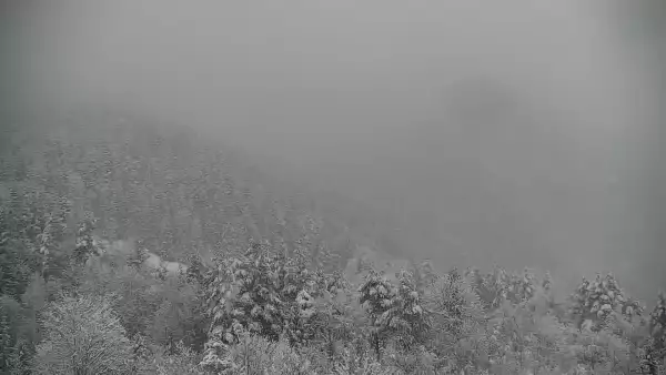 Widok na żywo na panoramę Sromowców Niżnych i rzekę Dunajec