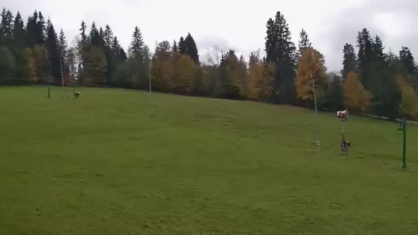 Widok z Kamery na dolny odcinek orczyka Jędrol Suche ski