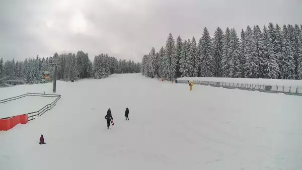 Idealne miejsce dla narciarzy i snowboardzistów. Czynne cały rok. Oglądaj live