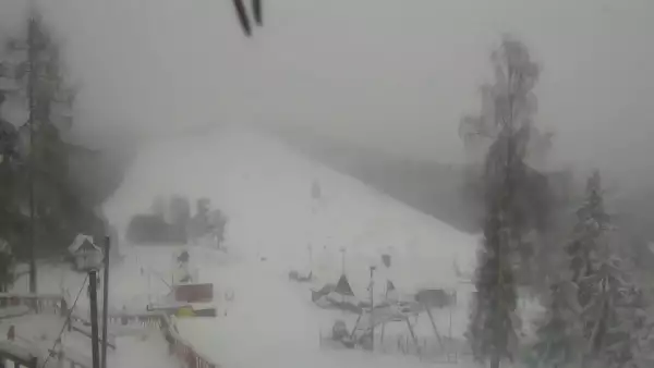 Widok z Kamery na stok narciarski Szczawnica Palenica