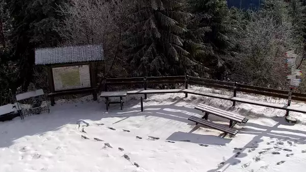 Przepiękny widok z kamery na Turbaczu ze schroniska PTTK.