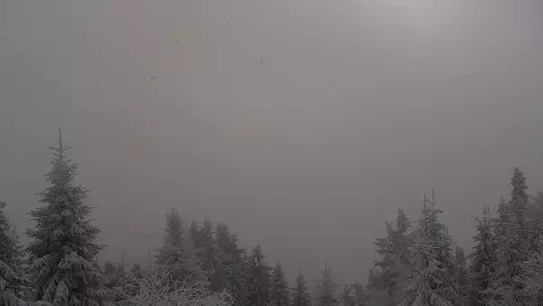 Przepiękny widok z kamery na Turbaczu ze schroniska PTTK.