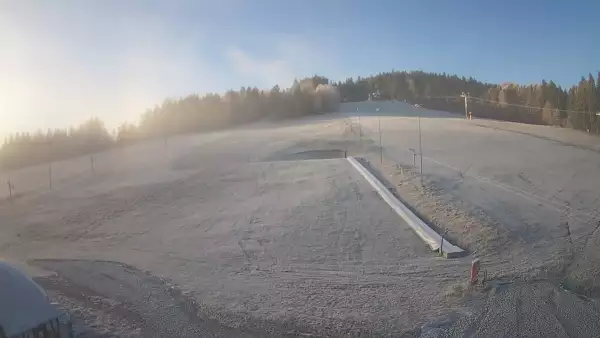 Widok z Kamery na trasę zjazdową w Tylicz.ski.