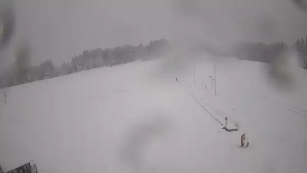 Widok z Kamery na trasę zjazdową w Tylicz.ski.