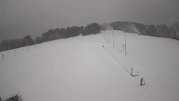 Widok z Kamery na trasę zjazdową w Tylicz.ski.