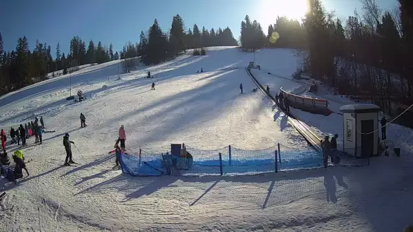Widok live na odpowiednio wypłaszczony stok, przygotowany specjalnie dla najmłodszych narciarzy