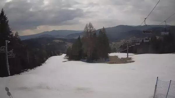 Obraz live z kamery prezentujący kilometrową trasę z wyciągu Wierchomla - Polanki.