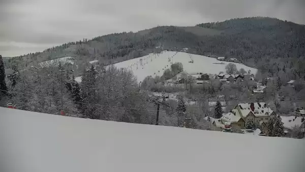 CIEŃKÓW SKI - zobacz warunki w Wiśle Malince.