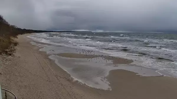 Kamera w Kołobrzegu z widokiem na plażę