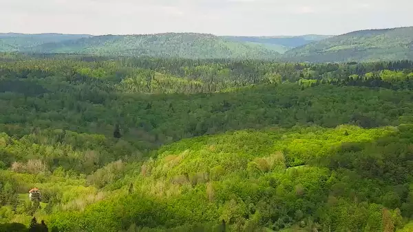Widok z kamery na Jezioro Solińskie w Bieszczadach.