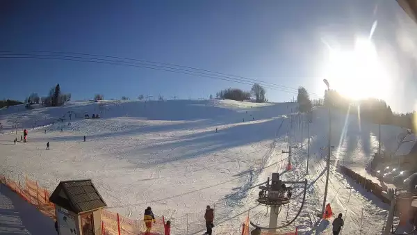 Widok na stok narciarski Wojtek w Zawoi