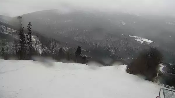 Mosorny Groń - widok z kamery na stok