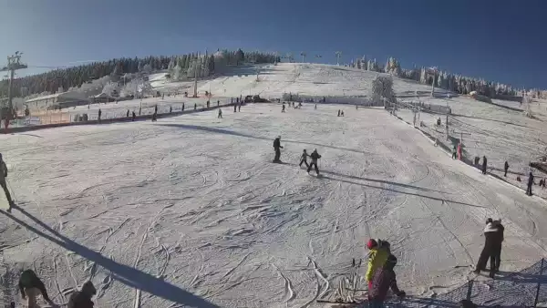 Widok na stok BARTUŚ W ZIELEŃCU - KAMERA LIVE