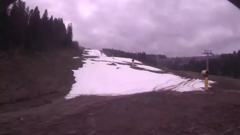 Obraz na żywo z ośrodka narciarskiego Bachledka Ski&Fun przedstawiający wyciąg orczykowy wraz z jedną z tras zjazdowych.