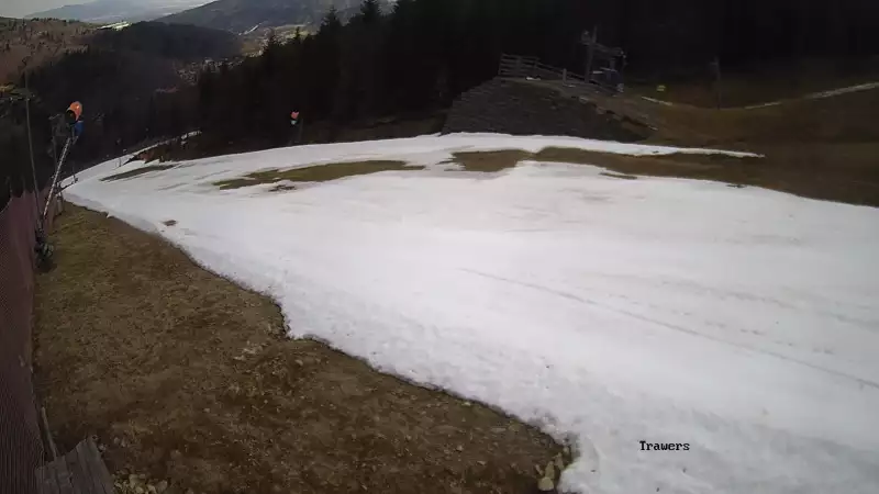 Widok z kamer na trasy narciarskie Beskid Sport Arena w Szczyrku