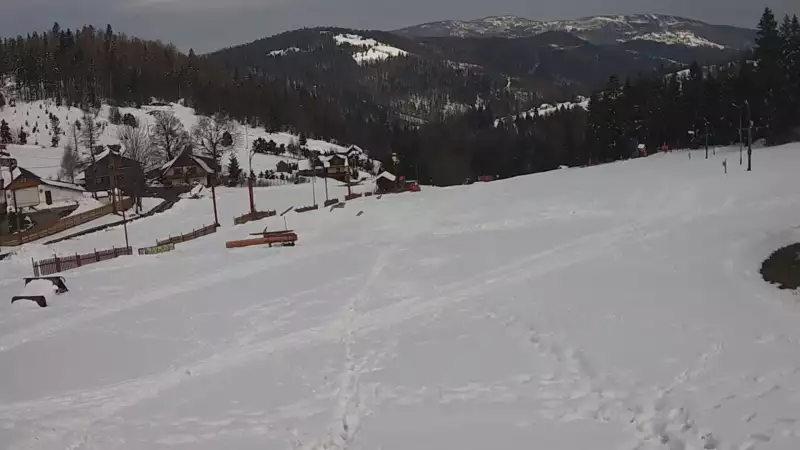 Widok z kamery na stok Biały Krzyż w Szczyrku.