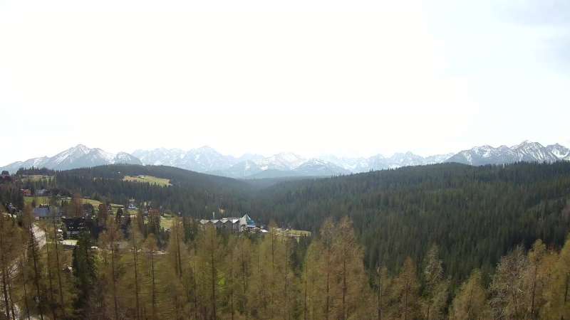 Panoramiczny obraz na żywo na hotel Bukovina Terma&Spa