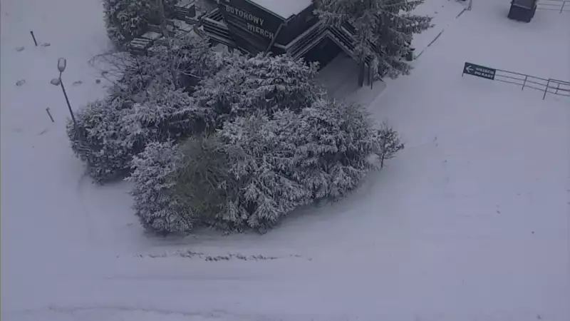 Widok z kamery na górnej stacji PKL na Butorowym Wierchu