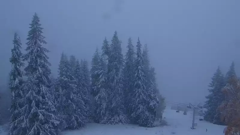 Widok z kamery na górnej stacji PKL na Butorowym Wierchu