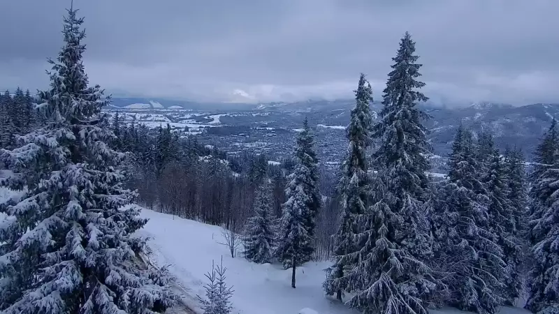 Widok z kamery na górnej stacji PKL na Butorowym Wierchu