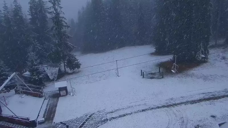 Widok z kamery na górnej stacji PKL na Butorowym Wierchu