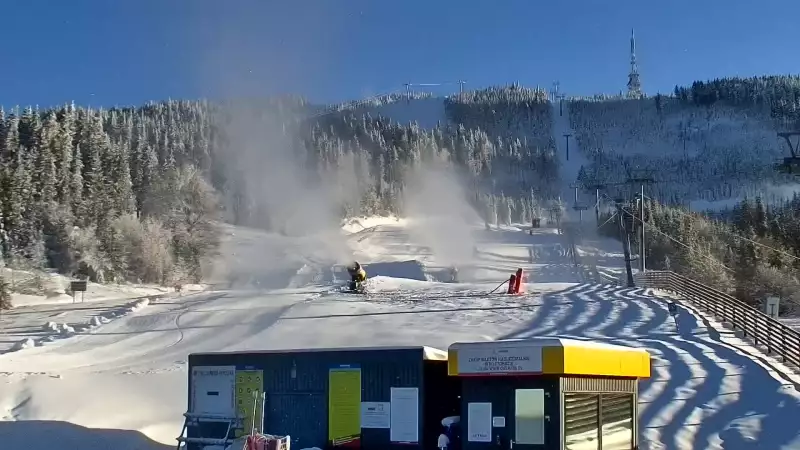 Widok na trasy Szczyrk - Jaworzyna w Centralnym Ośrodku Sportów