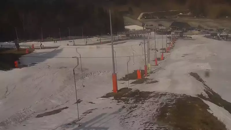 Nartostrada w Czarnej Górze Resort w Sudetach - widok na żywo