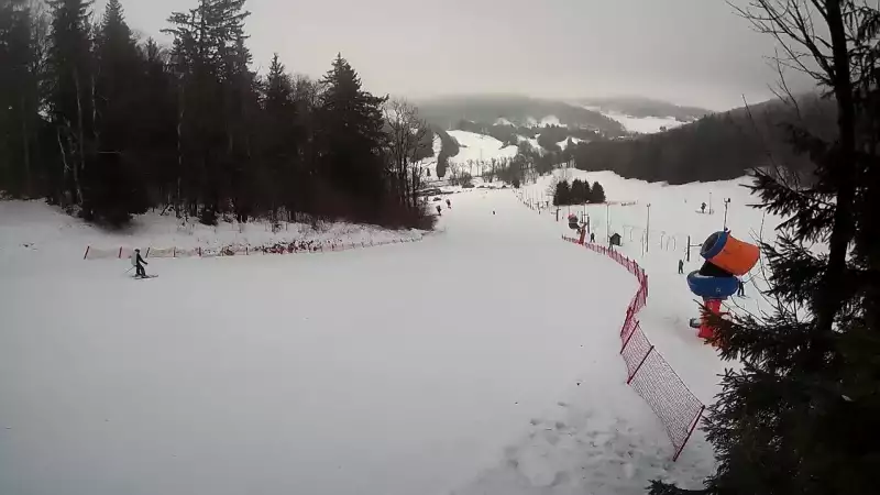 Stacja narciarska w pobliżu Pisarzowic - CZARNÓW SKI - zobacz online