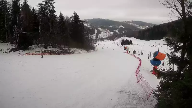 Stacja narciarska w pobliżu Pisarzowic - CZARNÓW SKI - zobacz online