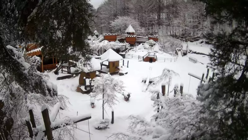 Magiczna Osada w Czarnym Groniu