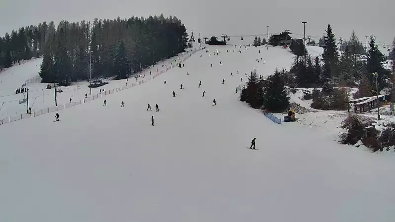 Widok na dolny odcinek trasy orczykowej stacji narciarskiej Czorsztyn-Ski Kluszkowce