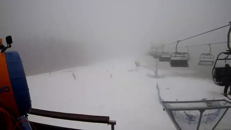 Wyciąg Diament w Kompleksie narciarskim Zieleniec zaprasza na narty.