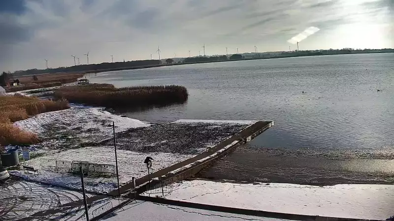 Dźwirzyno - Widok na Jezioro Resko Przymorskie na Żywo | Kamera Online