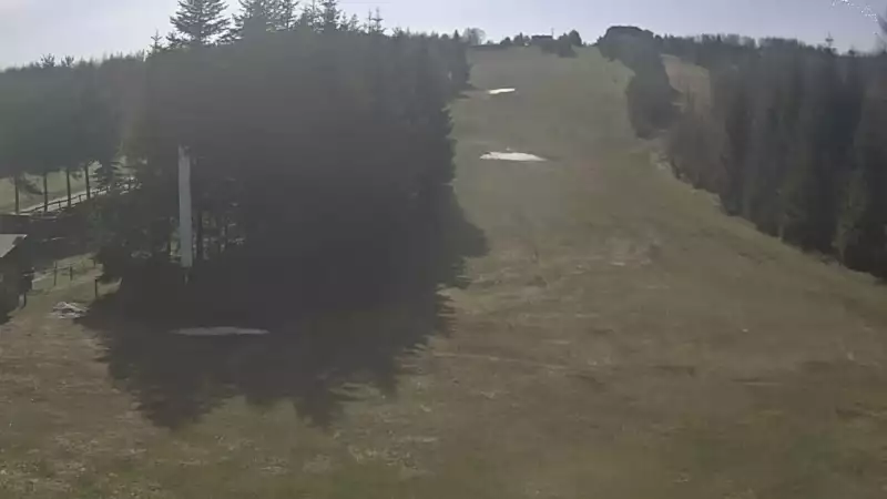 Widok na żywo z dolnej stacji wyciągu Pod Dziedzicem w Gogołowie prezentujący całość stoku.