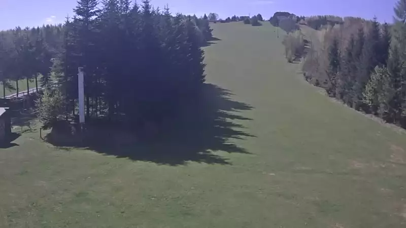 Widok na żywo z dolnej stacji wyciągu Pod Dziedzicem w Gogołowie prezentujący całość stoku.