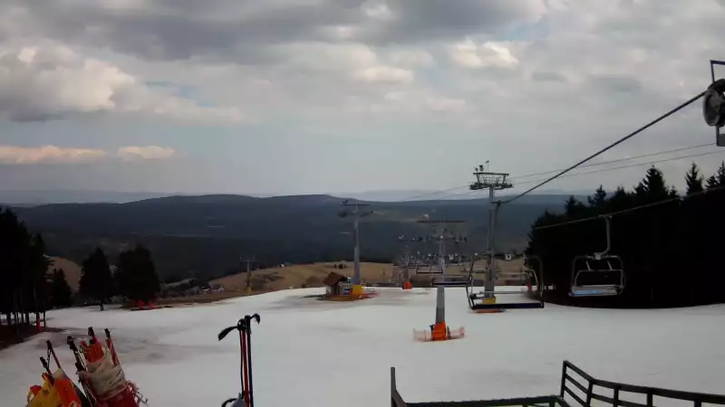 Zieleniec Gryglówka - widok z kamery na stok