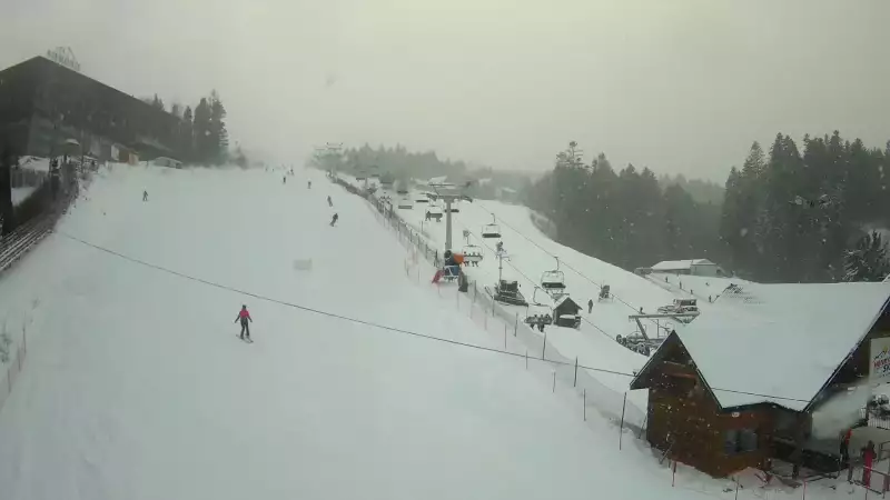 Widok z Kamery na stok w centrum Krynicy - NOWOŚĆ