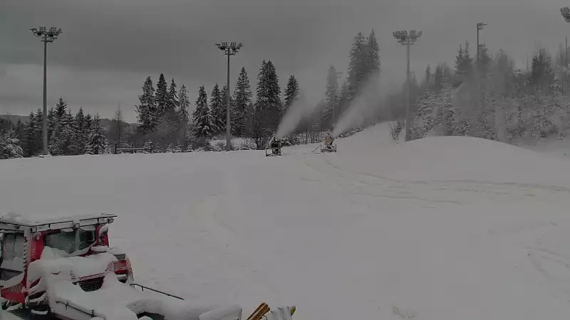 Widok na Trasy Biegowe w Istebnej Kubalonce - oglądaj zimą