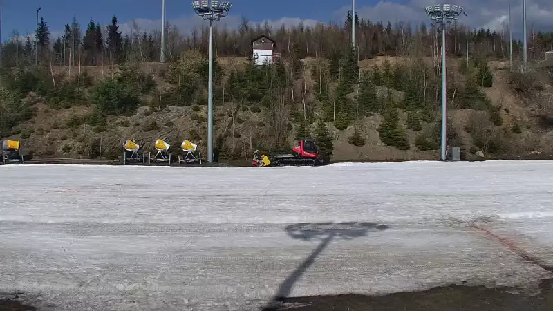 Widok na Trasy Biegowe w Istebnej Kubalonce - oglądaj zimą