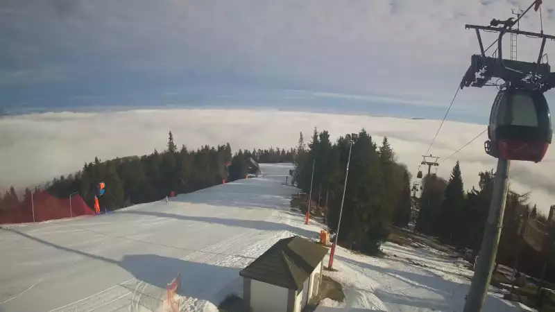 Obraz na żywo z Jaworzyny Krynickiej.