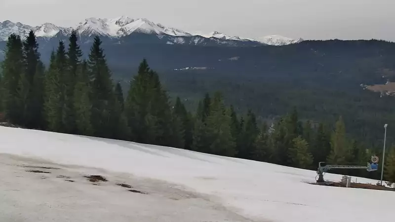 Jurgów ski - widok panoramiczny na trasy NOWOŚĆ