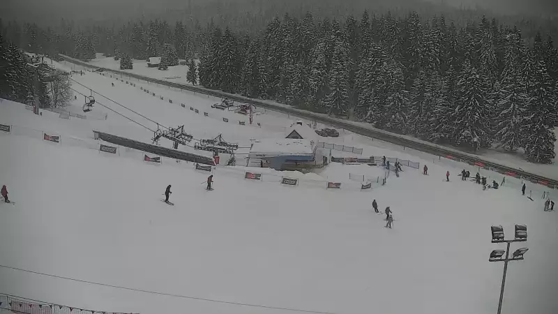 Widok z Kamery na dolny odcinek trasy w Jurgów -ski