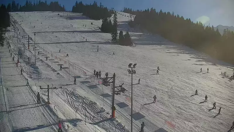 Widok z Kamery na dolny odcinek trasy w Jurgów -ski