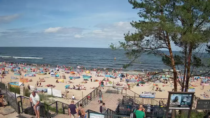 Widok z kamery na plażę w Stegnie to prawdziwa zachęta do wypoczynku.