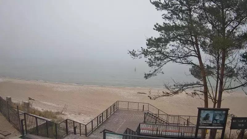 Widok z kamery na plażę w Stegnie to prawdziwa zachęta do wypoczynku.