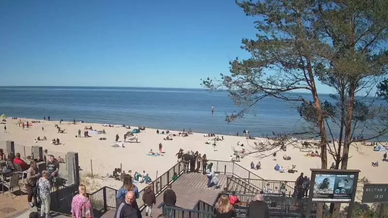 Widok z kamery na plażę w Stegnie to prawdziwa zachęta do wypoczynku.