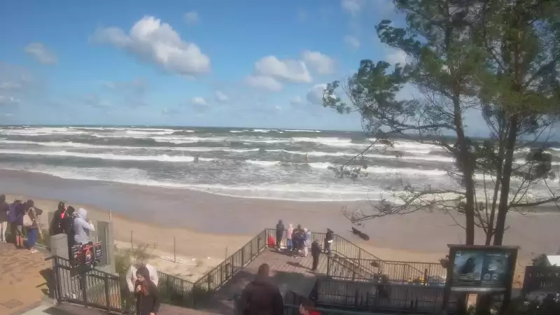 Widok z kamery na plażę w Stegnie to prawdziwa zachęta do wypoczynku.